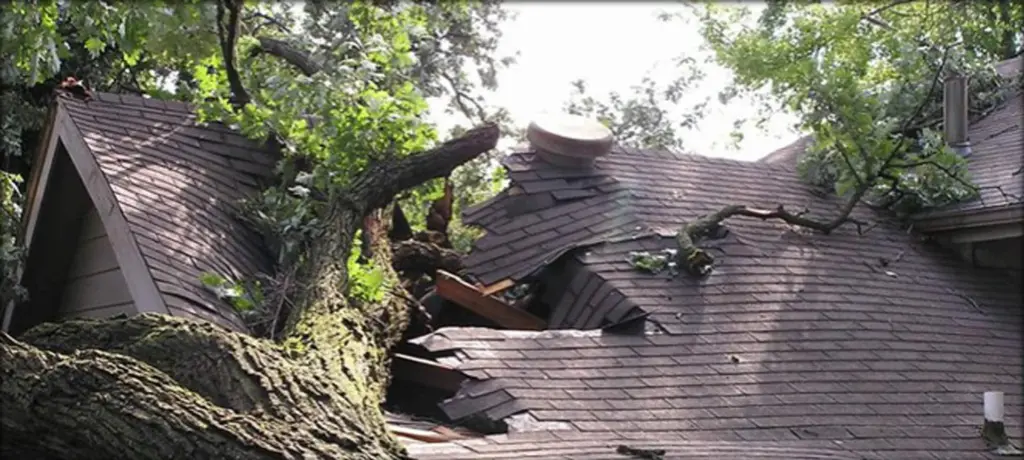 Storm Damage Restoration
